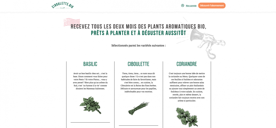 CIBOULETTE - botanic.bio